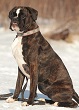 Greta