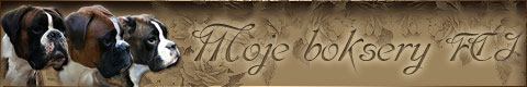 baner